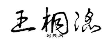 曾慶福王桐滔草書個性簽名怎么寫