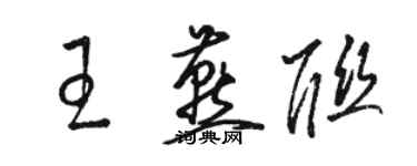 駱恆光王燕聯草書個性簽名怎么寫