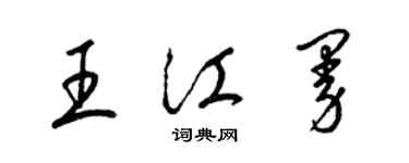 梁錦英王江曼草書個性簽名怎么寫