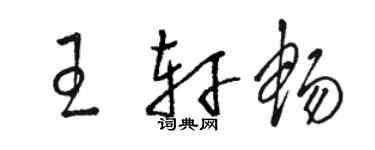 駱恆光王軒暢草書個性簽名怎么寫
