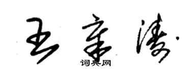 朱錫榮王章濤草書個性簽名怎么寫