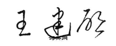 駱恆光王建啟草書個性簽名怎么寫