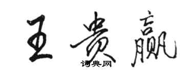 駱恆光王貴贏行書個性簽名怎么寫