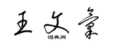 梁錦英王文匯草書個性簽名怎么寫