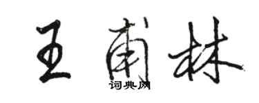 駱恆光王甫林行書個性簽名怎么寫