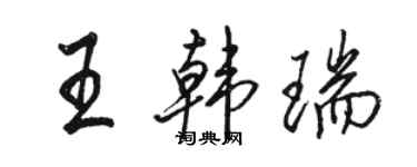 駱恆光王韓瑞行書個性簽名怎么寫