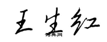 王正良王生紅行書個性簽名怎么寫