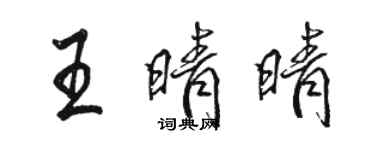 駱恆光王晴晴行書個性簽名怎么寫