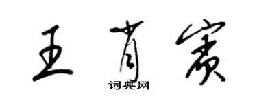 梁錦英王肖賓草書個性簽名怎么寫