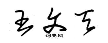 朱錫榮王文天草書個性簽名怎么寫