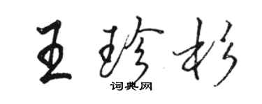 駱恆光王珍杉行書個性簽名怎么寫