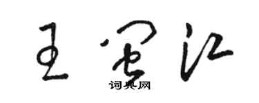 駱恆光王閩江草書個性簽名怎么寫