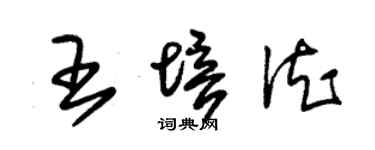朱錫榮王培德草書個性簽名怎么寫