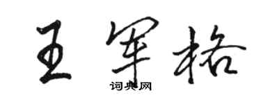 駱恆光王軍格行書個性簽名怎么寫