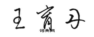 駱恆光王育丹草書個性簽名怎么寫