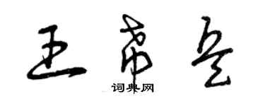 曾慶福王希兵草書個性簽名怎么寫