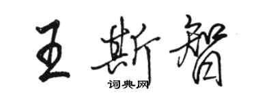 駱恆光王斯智行書個性簽名怎么寫