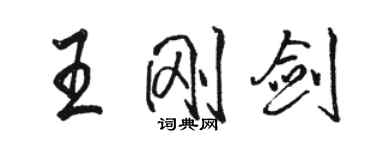 駱恆光王剛劍行書個性簽名怎么寫