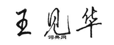 駱恆光王見華行書個性簽名怎么寫