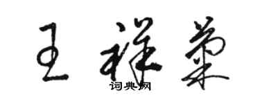 駱恆光王祥菊草書個性簽名怎么寫