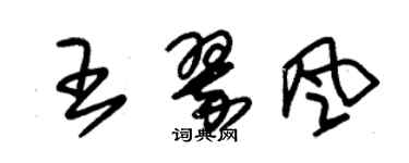 朱錫榮王翠風草書個性簽名怎么寫