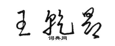 駱恆光王乾昂草書個性簽名怎么寫