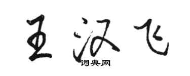 駱恆光王漢飛行書個性簽名怎么寫