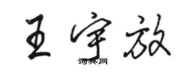 駱恆光王宇放行書個性簽名怎么寫