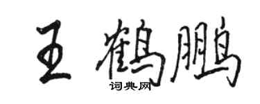 駱恆光王鶴鵬行書個性簽名怎么寫