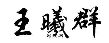 胡問遂王曦群行書個性簽名怎么寫