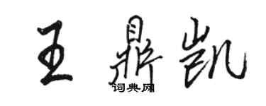 駱恆光王鼎凱行書個性簽名怎么寫