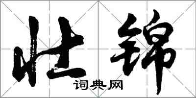 胡問遂壯錦行書怎么寫