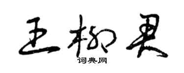 曾慶福王柳君草書個性簽名怎么寫
