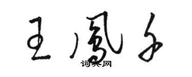 駱恆光王鳳千草書個性簽名怎么寫