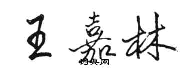 駱恆光王嘉林行書個性簽名怎么寫
