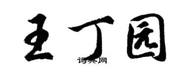 胡問遂王丁園行書個性簽名怎么寫