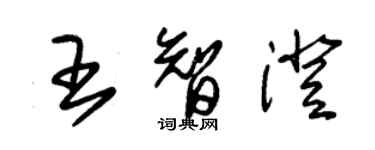 朱錫榮王智澄草書個性簽名怎么寫