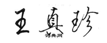 駱恆光王真珍行書個性簽名怎么寫