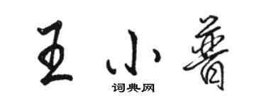 駱恆光王小普行書個性簽名怎么寫