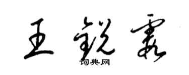 梁錦英王銳霞草書個性簽名怎么寫