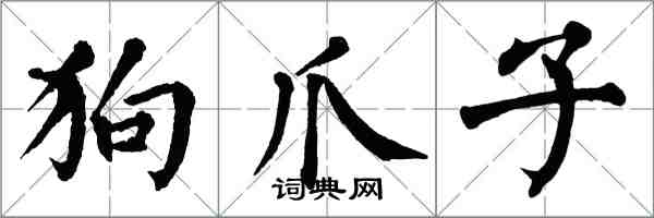 翁闓運狗爪子楷書怎么寫