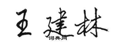 駱恆光王建林行書個性簽名怎么寫