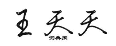 駱恆光王天天行書個性簽名怎么寫
