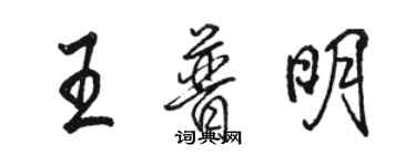 駱恆光王普明行書個性簽名怎么寫