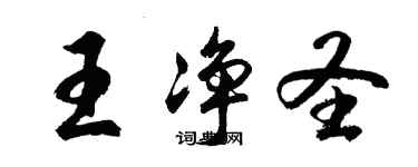 胡問遂王淨聖行書個性簽名怎么寫