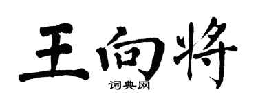 翁闓運王向將楷書個性簽名怎么寫