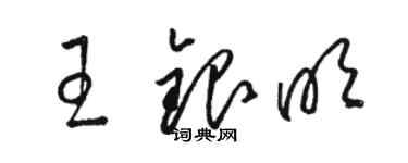 駱恆光王銀明草書個性簽名怎么寫