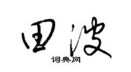 梁錦英田波草書個性簽名怎么寫