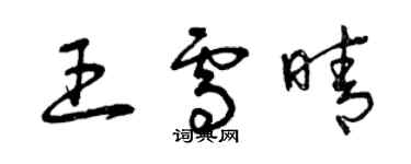 曾慶福王雪晴草書個性簽名怎么寫