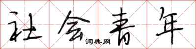 段相林社會青年行書怎么寫